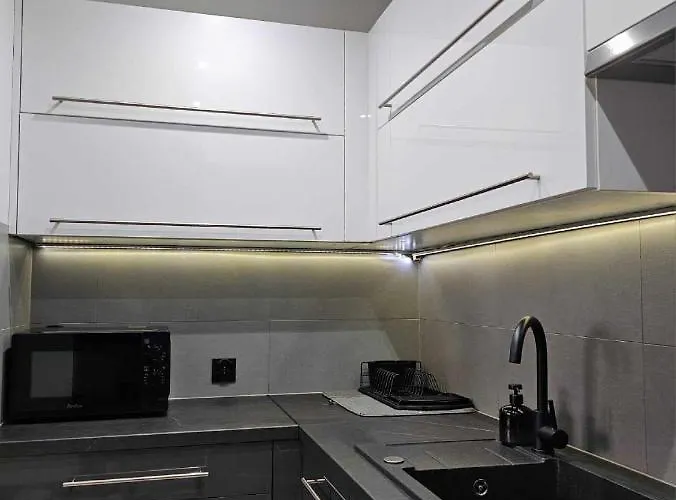 W Centrum Miasta Z Balkonem 아파트 Jastrzębie Zdrój